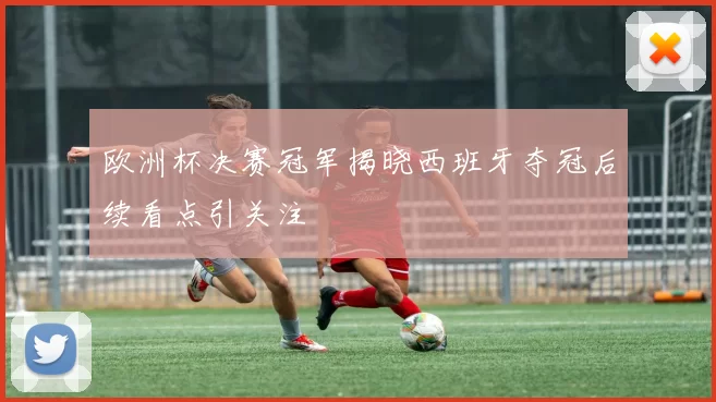 欧洲杯决赛冠军揭晓西班牙夺冠后续看点引关注