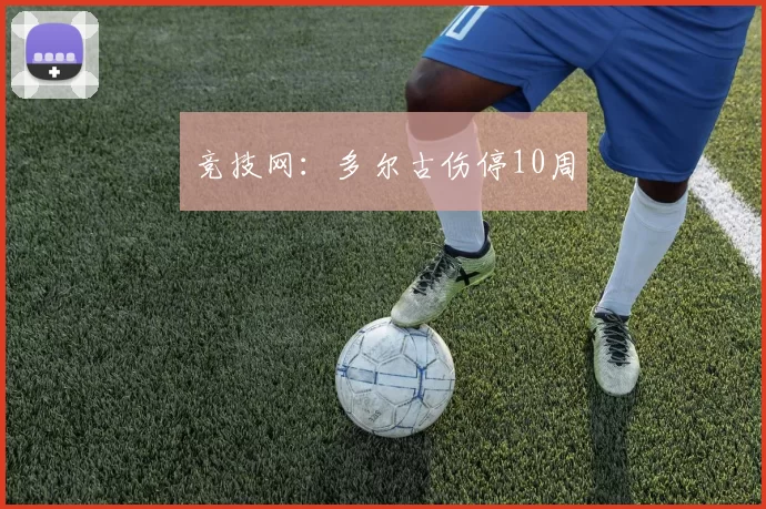 竞技网：多尔古伤停10周