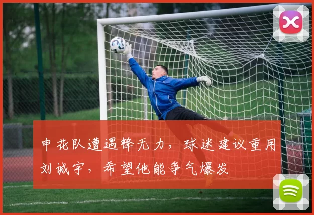 申花队遭遇锋无力，球迷建议重用刘诚宇，希望他能争气爆发