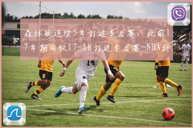 森林狼连续5年打进季后赛，此前17年期间仅17-18打进季后赛-NBA新闻