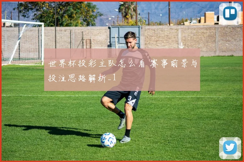 世界杯投彩主队怎么看 赛事前景与投注思路解析_1