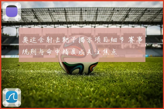 奥运会射击靶子揭示项目细节 赛事规则与命中精度成关注焦点
