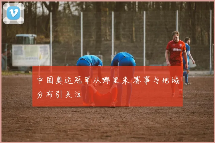 中国奥运冠军从哪里来 赛事与地域分布引关注